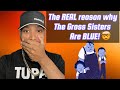 Why Are The Gross Sisters Blue In The Proud Family EXPLAINED