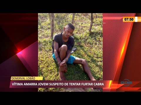 Jovem tenta furtar cabra de sítio em Demerval Lobão e é amarrado pelo proprietário 11 03 2021