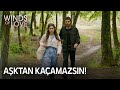 You can't run away from love, Zeynep 🏃🏻‍♀️‍➡️ | Winds of Love Episode 92 (MULTI SUB)