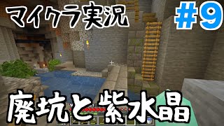 Minecraft #9 廃坑探索と紫水晶【マインクラフト実況】