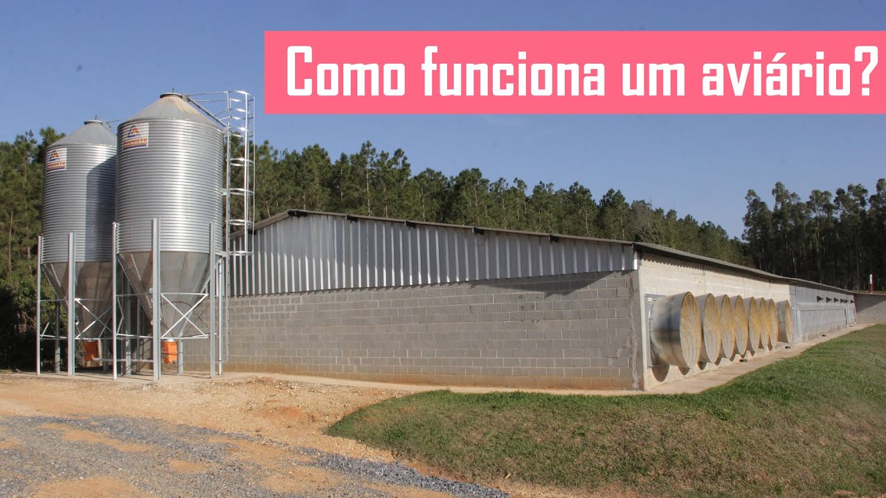 Como funciona um aviário na Estância Jatobá - Alambari-SP