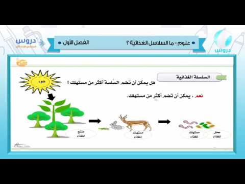 السادس الابتدائي | الفصل الدراسي الأول 1438 | علوم | السلاسل الغذائية