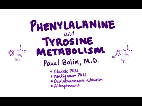Phenylalanine/Tyrosine Metabolism and Disorders - CRASH! Medical Review Series