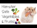 Hamster Safe Vegetables & Fruits