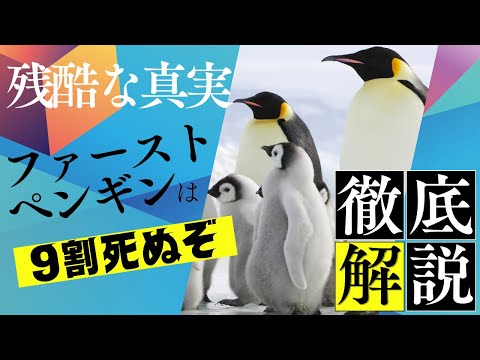 オーストラリアって存在しないの? Microsoft Bing が奇妙な陰謀論を広める