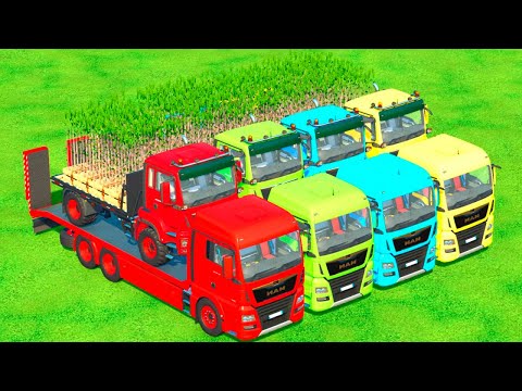 LOAD AND TRANSPORTING OF SEEDLINGS BY MAN TRUCKS - Farming Simulator 22