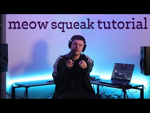 Meow Squeak Beatbox Tutorial - D-low