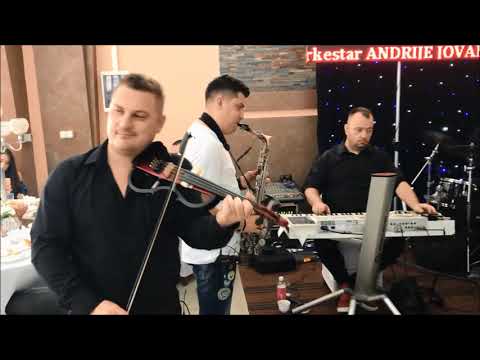 Orkestar Andrije Jovanovica Kute - Macani profesionalci