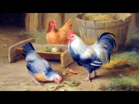 Animal Paintings - Brandenburg Concerto No. 4 - Bach
