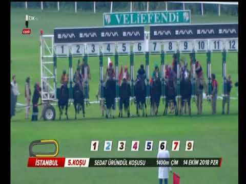 DRIVE FASTER     KV-7/3+İ       14/10/2018      İSTANBUL