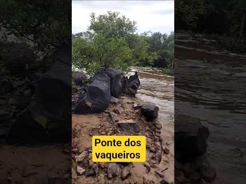 ponto dos vaqueiros    Mocambinho Brasileira Pi