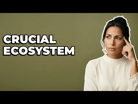 Why Is San Cristóbal Island Ecologically Important?