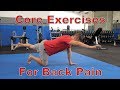 FIVE Best Core Exercises for Back Pain (Protects Spine!)