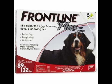 Frontline Plus for Dogs Kills Flea and Tick