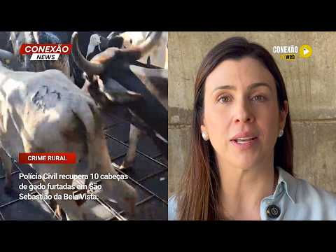 Polícia Civil recupera 10 cabeças de gado furtadas em São Sebastião da Bela Vista.