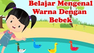 PETUALANGAN SI BUNBUN - Belajar Mengenal Warna dengan Bebek