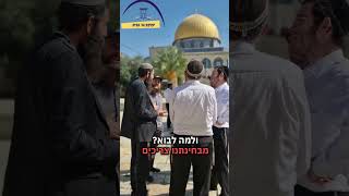 הרב מתרגש מהשינוי הענק בהר הבית? (ישיבת הר הבית) - התמונה מוצגת ישירות מתוך אתר האינטרנט יוטיוב. זכויות היוצרים בתמונה שייכות ליוצרה. קישור קרדיט למקור התוכן נמצא בתוך דף הסרטון הרב מתרגש מהשינוי הענק בהר הבית? (ישיבת הר הבית) - התמונה מוצגת ישירות מתוך אתר האינטרנט יוטיוב. זכויות היוצרים בתמונה שייכות ליוצרה. קישור קרדיט למקור התוכן נמצא בתוך דף הסרטון