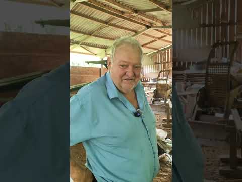 Pinheiro preto SC a capital do vinho traz a linda história do seu Aldo