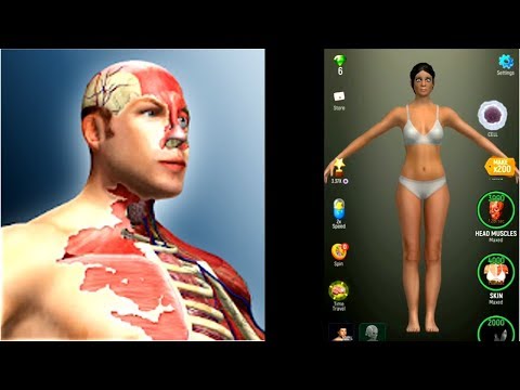Idle Human Woman (by Green Panda Games) - Android Gameplay FHD - YouTube