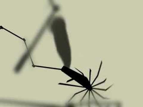 download lagu mp3 mp4 Apc Judith Remix, download lagu Apc Judith Remix gratis, unduh video klip Apc Judith Remix