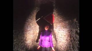 The Selecter - Celebrate The Bullet (1981) (HD)