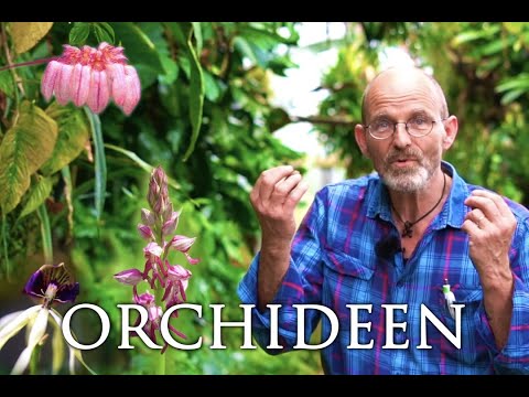 , title : 'Orchideen – Aus dem Alten Botanischen Garten Göttingen'