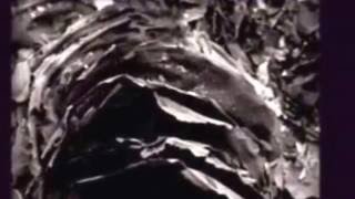 Sad Lovers and Giants - Biblical Crows (The Part Time Punks Session) (2016) (Audio)