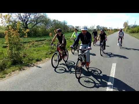 Pluton de cislisti in vedea teleorman