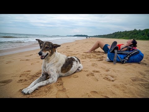 Bentota – heute mal entspannt • Sri Lanka • Weltreise | Vlog #006
