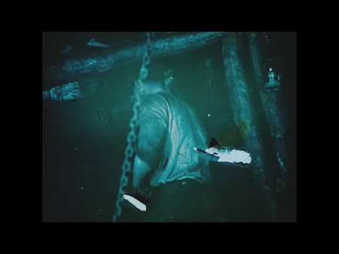 Rory Gallagher - Off The Handle #rorygallagher #rorygallaghercover