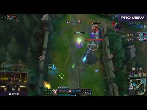Peyz Pro View | GENG vs HLE | 2023 LCK Summer Week 9 Day 2