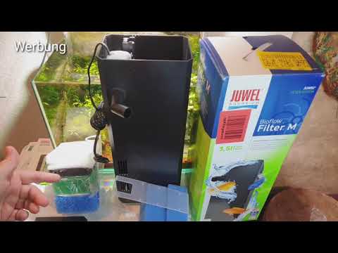 Watch Video on YouTube