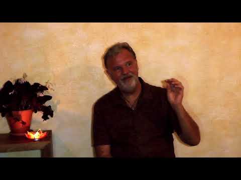 Manik "Die Illusion des freien Willens"   Satsang 2. Oktober 2020