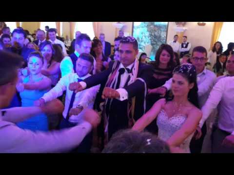 Animazione per Matrimoni e Feste - Balli di Gruppo Divertenti - Francesco Barattucci Showman