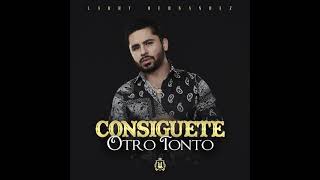 Consiguete Otro Tonto Lyrics English Translation