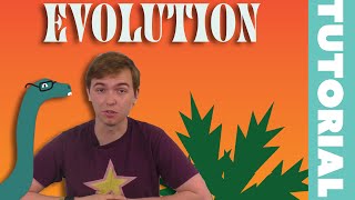 Rum & Board - Evolution video thumbnail