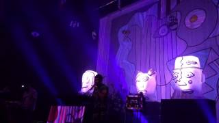 Natural Selection by Animal Collective @ Fillmore Miami on 11/10/16