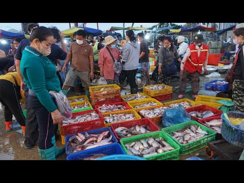 Amazing Fish Market Scene @Chhbar Ampov Bridge - Morning Daily Activities of Vendors Selling SeaFood