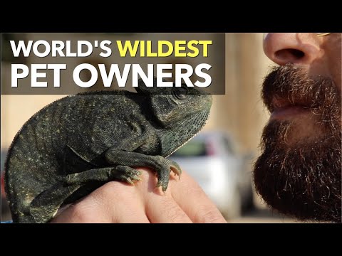 世界上最狂野的寵物主人 (World's Wildest Pet Owners)