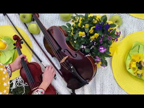 Vasile Advahov și feciorii Daniel și Lucian - Hora lui Vișan