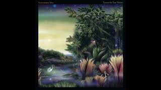 Fleetwood Mac - Welcome to the Room... Sara