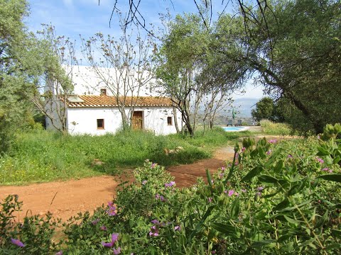AX1065 - Casa Cris, Comares