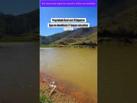 Excelente propriedade de 29 alqueires em Virginópolis #brasil #fazenda #mercadoagricola #sitio #chuv