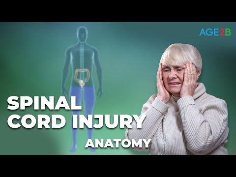 What is a Spinal Cord Injury? | Complete Or Incomplete | Everything You Need To Know | Detailed