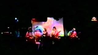 The Wondermints (featuring Robbie Rist)