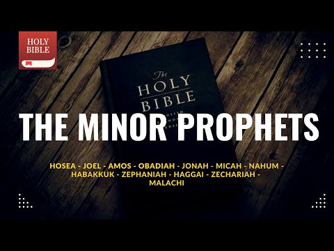 The Holy Bible - The Minor Prophets | KJV | #bible #audiobible #gospel #scripture #prophet #listen