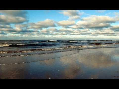 Rysininku Blokas ft. Sidabras-Baltija