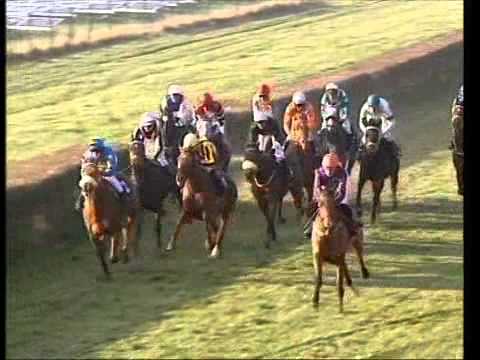 Galopprennbahn Dresden - 16.11.2011 - 6.Rennen