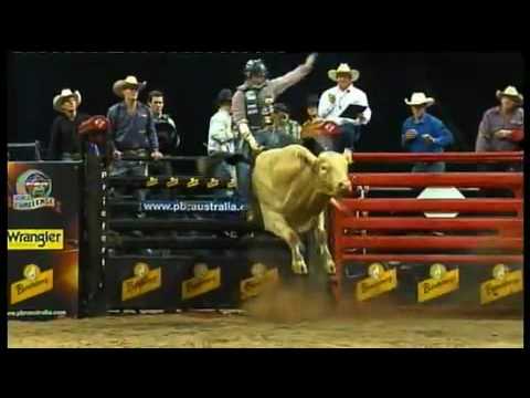 Brendon Clark on Thats Gold