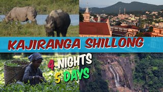 Meghalaya Tour Plan in 2021